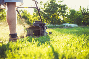 Basic Mow