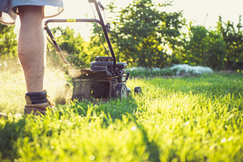 Basic Mow